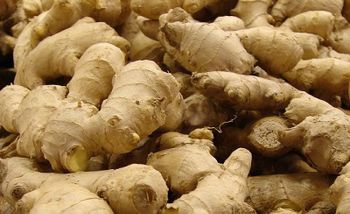Fresh Grade A ginger from Ghana Form Whole Delivery Form Sacks Freshness Level Fresh Features Organic, Without Additives - HASRAH YAM & VEGETABLES ENTERPRISE - Ghana