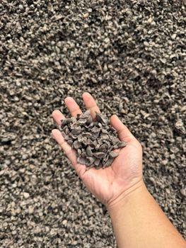 Palm Kernel Shell (PKS) – Premium Quality - Amry - Indonesia