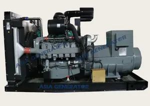 700kw 875kVA Natural/Biogas/Biomass/LPG/CNG/Propane/Methane/Hydrogen/Power Plant/Dual Fuel/Sewage/Coke/Syngas/Electric Power Generator Gas Genset - Weifang Asia Generator Co., Ltd - China