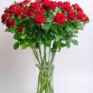 roses from Olive green roses - Olive green - Kenya