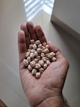 12mm White Chickpeas (Kabuli Chana) – product photo, Premium Kabuli Chickpeas products found from trusted suppliers, wholesalers, manufacturers & exporters Listing