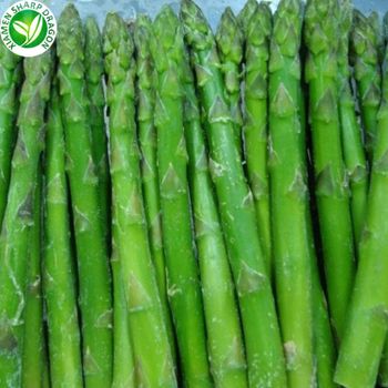 IQF Green vegetables price frozen fresh asparagus Grade A Shape cut Style FROZEN Content SAME Address CHINA Weight (kg) - Xiamen Sharp Dragon International Trading Co.,Ltd - China