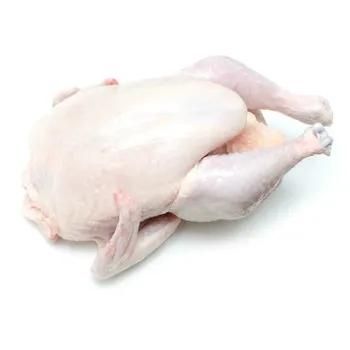 Best Quality Healthy and Natural Whole Chicken Halal Frozen Whole Chicken Poultry Meat Chicken with Customize Pack from ventures Best Quality Healthy and Natural Whole Chicken Halal Frozen Whole Chicken Poultry Meat Chicken with Customize Pack - ventures - Canada