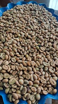 COFFEE - GRASEMSA LLC - United States