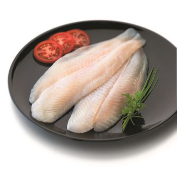 High quality frozen pangasius fillet in fish basa - TANIS IMPORT & EXPORT COMPANY LIMITED - Vietnam