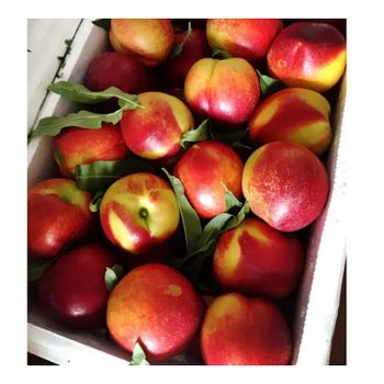 2023 New Season Fresh Fruit Peaches Nectarines With Good Taste - Guanxian Good Goods Commerce Co.,Ltd. - China