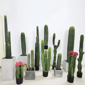 Cactus Plants Artificial Cactus Potted Plants Desert Style - Shenzhen Shangpin Flower Art Design Co., Ltd. - China
