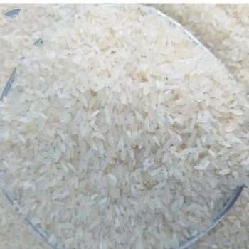 Organic Ponni Rice -  Indian Organics Exporters  - India