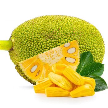 High quality products agriculture Fresh Fruit Jackfruit Delicious Sweet Taste Tropical Fruit From Vietnam from MIGHTY ASIA COMPANY LIMITED High quality products agriculture Fresh Fruit Jackfruit Delicious Sweet Taste Tropical Fruit From Vietnam - MIGHTY ASIA COMPANY LIMITED - Vietnam