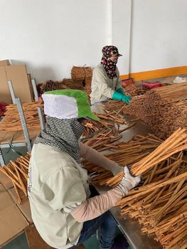 Stick cassia 15-30cm, Moisture 13.5% max, Admixture 0,5% max, Packing in carton box 10kg, roll rate: 85-90% from Vinapro Stick cassia 15-30cm, Moisture 13.5% max, Admixture 0,5% max, Packing in carton box 10kg, roll rate: 85-90% - Vinapro - Vietnam