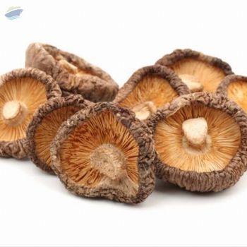 Dried Shiitake Mushroom -  Hung Thinh Southern Plastic Service-Trading-Production Company Limited  - Vietnam