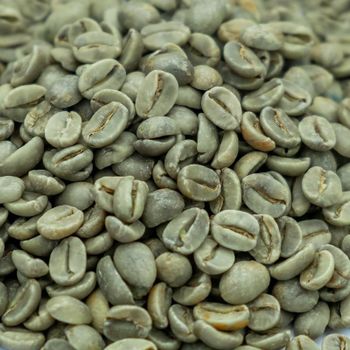 Green coffee Origin Europe Grade ORGANIC Quality Best Quality Delivery Fast Delivery Service Availability 24/7 Available - NUTRIDIET LDA - United Kingdom