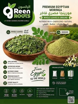 PREMIUM EGYPTIAN MORINGA - Green Roots Company - Egypt