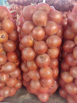 yellow onion Color Yellow Type yellow onion Packaging Type Packing Bag Primary Packaging Carton Box Packaging 3/5/10/15/20/25/30/1000, bag 25kg - Freeze Dried Fruit LTD - Uzbekistan