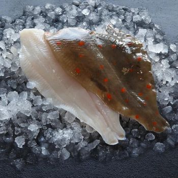 Premium Frozen Plaice Fish Whole and Fillet IQF Flatfish for Wholesale Retail and Export - PILOTEXPORT IMPORT AND EXPORT LTD - South Africa