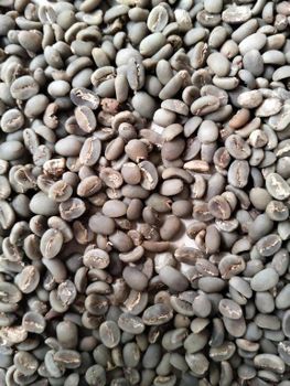 Premium Toraja Arabica Green Coffee Beans – Semi-Washed Process | Indonesia from CV coffee and spices Premium Toraja Arabica Green Coffee Beans – Semi-Washed Process | Indonesia – product photo, Arabic Coffee Beans products found from trusted suppliers, wholesalers, manufacturers & exporters Listing