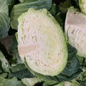 China Origin Wholesale Fresh Chinese Cabbage New Crop High Quality - Jining New SILK ROAD Food Co., Ltd. - China