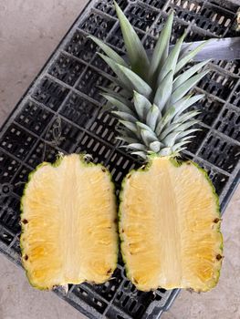 Premium Quality Sipahutar Pineapple from Indonesia - PT FRAYAN FRUITS INTERNATIONAL - Indonesia