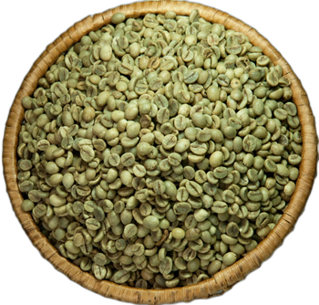 ROBUSTA GREEN COFFEE BEANS high quality ready to export around the world for wholesale whole beans coffee – product photo, Whole Pinto Beans products found from trusted suppliers, wholesalers, manufacturers & exporters Listing