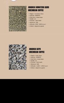 Arabica and robusta – product photo, Ethiopian Coffee Beans products found from trusted suppliers, wholesalers, manufacturers & exporters Listing