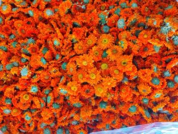Translation Results: Natural Orange Blossom, Calendula, Dried Flowers, Herbal Bath Cosmetics, Soap, Candles, Tea Ornaments, Health Tea - Bozhou Lianzhou Import and Export Trading Co., Ltd. - China