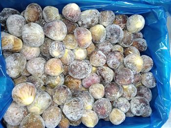 Fig frozen Grade 1 Taste Sweety Brand Name Sara Harvest Year 2025 Processing Type Iqf Quality Eu standards Storage Capacity 2000 Ton - Elbardy international - Egypt