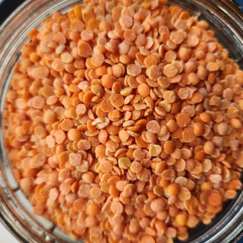 Premium Indian Origin Dried Red Lentils Split Variety For Export Supply With Clean Processing And Secure Packaging - malter group - Tanzania