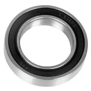 Guangdong Chrome Steel Balls Linear Ceramic Ball Bearing (24601) - Cixi Feijie BEARING Co., Ltd. - China