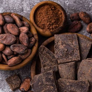 Selected Dried Cocoa Powder With Rich Aroma And Smooth Brown Color Supplied In Secure Bags For International Wholesale - malter group - Tanzania