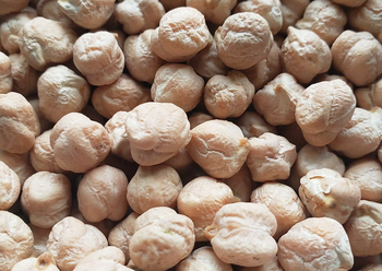 Premium Kabuli Chickpeas (Ethiopian Origin) - EYZ Import & Export - Ethiopia