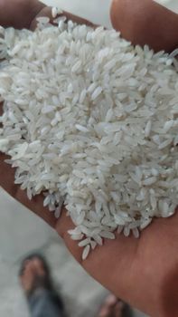 Sonamasuri steam rice - Ilyas trading company - India