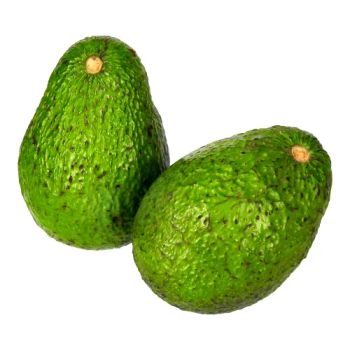 Premium Hass Avocado, Bulk Wholesale Export Grade, Affordable Price - A.C.P. AGRICULTURE COMPANY LIMITED - Thailand