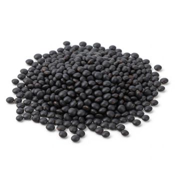 Premium Organic Black Lentils With High Protein Content Black Lentils Supplied For Export And Bulk Markets - THE GREEN INTERNATIONAL LIMITED - Tanzania