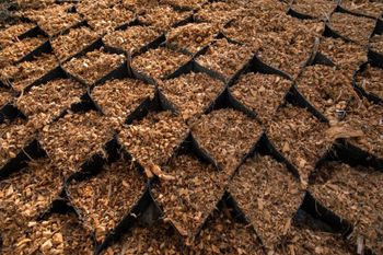 Teak Leaf Mulch Max. Moisture (%) 12% Material Teak Leaf Mulch Carbon Content Rich In Carbon Biodegradability Biodegradable - Folia Cakra - Indonesia