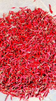 Dried Red Chilli Pungency Balanced Form Chopped, Uncut Color Vibrant Color Aflatoxin Level Low Moisture Content Low Freshness Level Dried - VLZ ELITE EXPORTS LLP - India