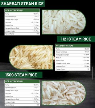 Premium Basmati rice - PAK GLOBAL TRADE - Pakistan