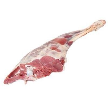 INDIAN BONELESS FROZEN BUFFALO MEAT - ABS Impex general trading LLC -FZ  - United Arab Emirates