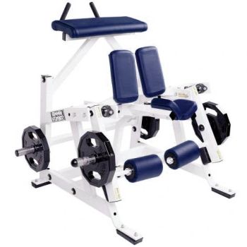 Hammer Strength Fitness Equipment Plate Machine Kneeling Leg Curl - Dezhou Chengzhi Import & Export Co., Ltd. - China