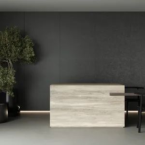 Sintered Stone Slabs Black and White - Foshan Fiore Ceramics Co., Ltd. - China