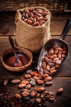 Cocoa Beans – product photo, Fermented Cocoa Beans products found from trusted suppliers, wholesalers, manufacturers & exporters Listing