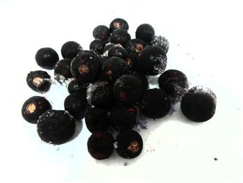 Iqf Blackcurrant - AG FEEDING - Poland