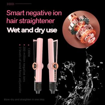 a Must-Have Blow-Drying and Straightening 2-in-1 Hair Straightener for Business Trips - Shenzhen Baiyisen Health Technology Co., Ltd. - China