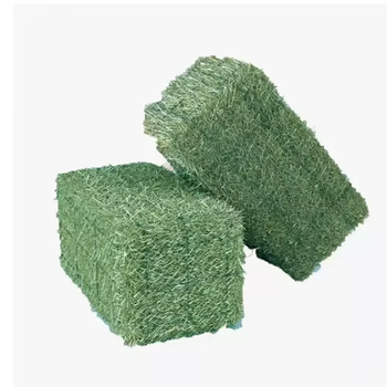 Timothy Hay Soft Texture Green Grass Ideal For Rabbits Guinea Pigs And Horse Feeding - THE GREEN INTERNATIONAL LIMITED - Tanzania