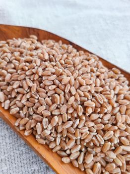 Hard Red Wheat - Ambria Energy Commodity Network - Pakistan