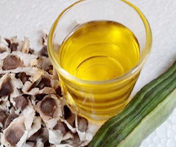 Moringa Seed Oil - Vedant Agro Foods - India