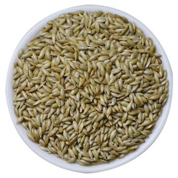 Refined Premium Canary Seed Wholesale for Bird Food – Carefully Selected, Nutrient-Dense, Dust-Free Canary Seeds for Cage Birds, Wild Birds, Feed Manufacturers, Bulk Buyers, International Export, Flexible Packaging, and Fast Worldwide Delivery Services - agroturaspzoo - Poland