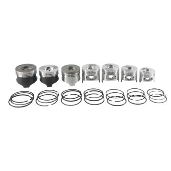 Hot piston ring diesel engine parts piston ring Material Iron Trademark RAJA Model NO. S195 Origin Zhejiang Technics - Hangzhou Raja Machinery Co., Ltd. - China