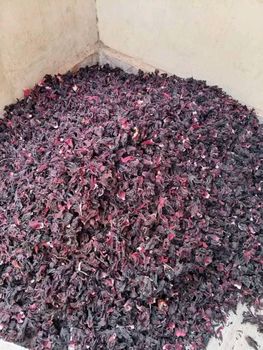 Hibiscus - SB agro allied - Nigeria