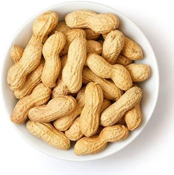 Natural Choice Peanuts Whole Groundnuts Clean Fresh High Nutrition Ideal For Daily Diet And Processing Use Buy Today Fast Delivery Premium Quality Wholesale from wood traders Natural Choice Peanuts Whole Groundnuts Clean Fresh High Nutrition Ideal For Daily Diet And Processing Use Buy Today Fast Delivery Premium Quality Wholesale - wood traders - Poland