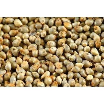 Natural pearl millet wholesale bulk order clean grains reliable shipment - HIGHPROFILE AGRICULTURE SERVICES LIMITED - Tanzania